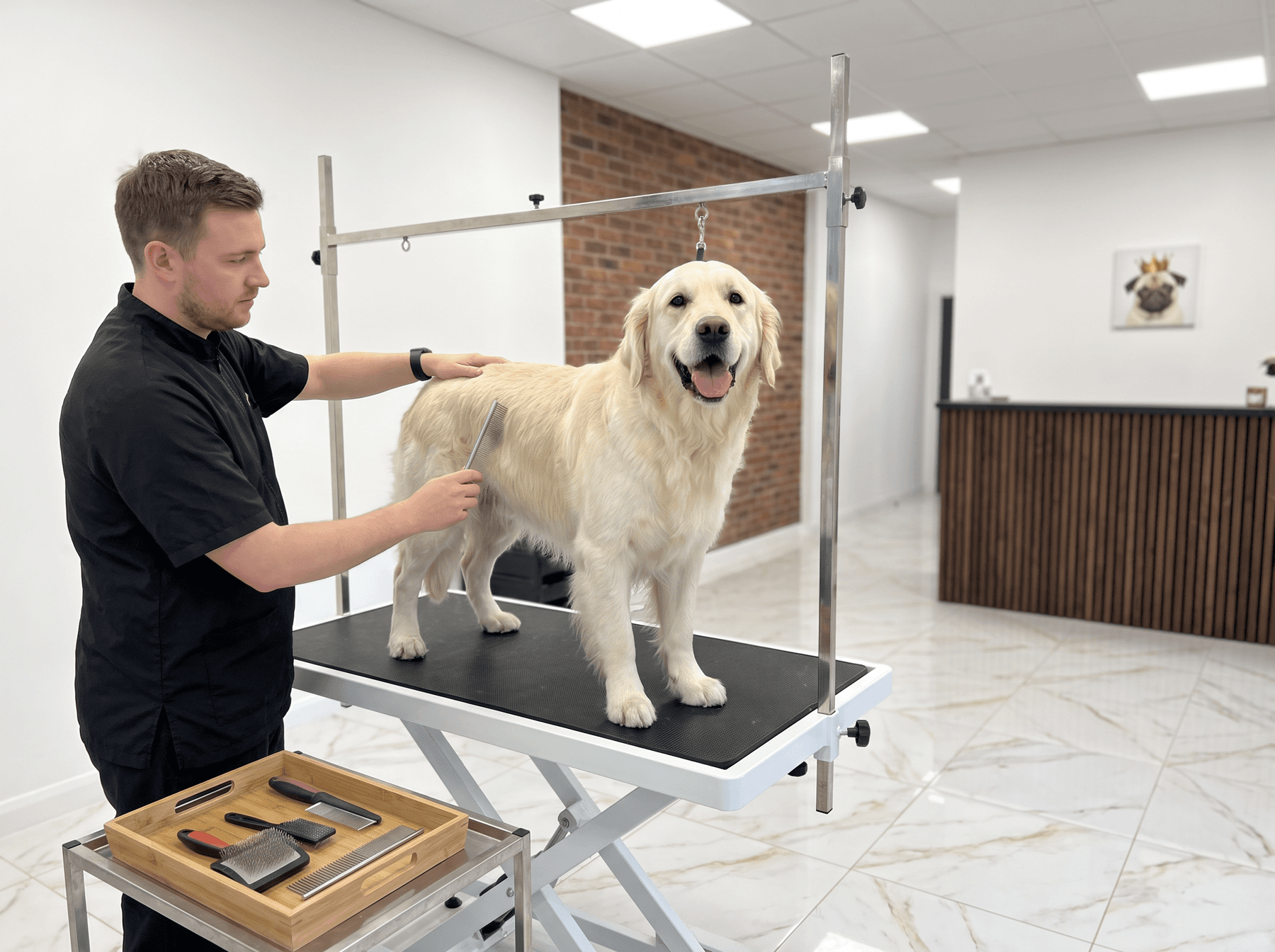 Services de toilettage